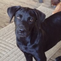 Captian Shut It (@sldomseen) 's Twitter Profile
