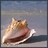 EarlineAmes's profile image