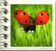 SuzannePokrovsk's profile picture. Infuriatingly humble web expert . Wannabe food scholar ...
