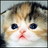 PearlEng2's profile image
