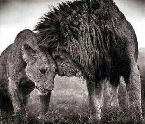 Number1Human's profile picture. 