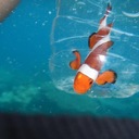 Amelia Ewing - @amelia62ewing - Twitter