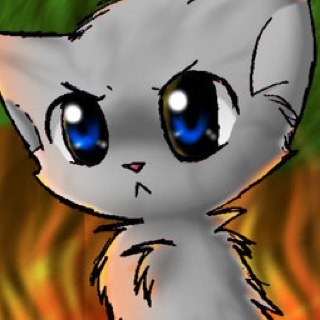 Tom cat,19 moons old.In Fireclan dad is @Tigerstar033 mother is leader of Fireclan @Ammallon033. Theme-Bleed it out by Linkin park. Am I a dad? Yes