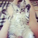 Mariya Ivanova - @MariyaI94713591 - Twitter