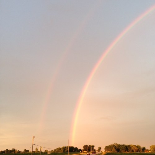 bmctschmidt's profile picture. 