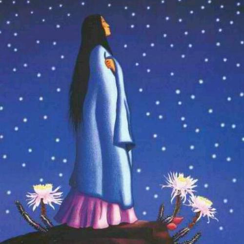 shashaname's profile picture. 