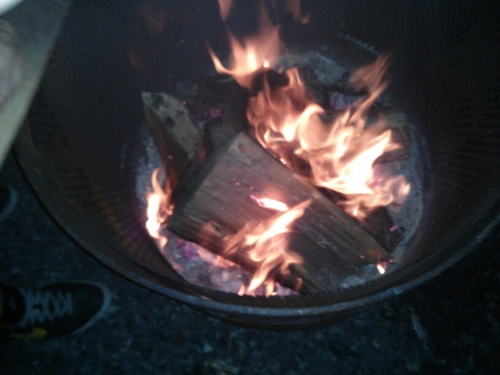 BrayJesse's profile picture. 