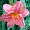 Lucy Elliott - @lucywelliott - Twitter