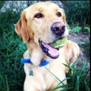 Steven Whitten - @StevenWhitten12 - Twitter