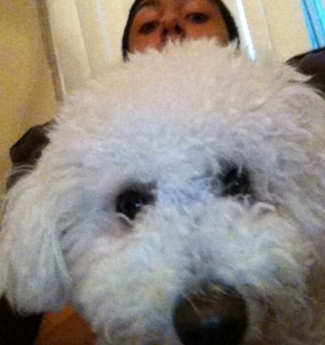 cameron_salem's profile picture. 