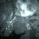 Dane May - @Secrets_of_Dane - Twitter