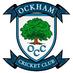 Ockham Cricket Club (@ockhamcc) Twitter profile photo