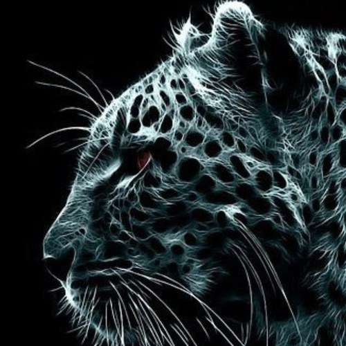 Farhad1099's profile picture. 