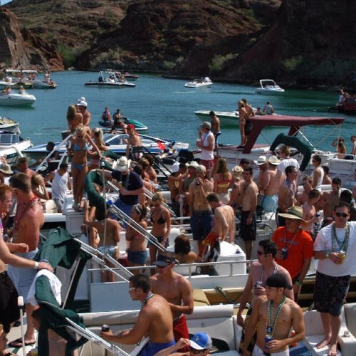 HavasuLivin's profile picture. 