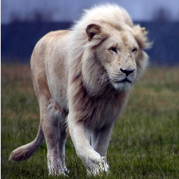 bhatt48's profile picture. 