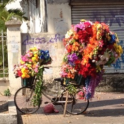 BekNaim's profile picture. At once you are as young as you ever will be and as old as you ever were.