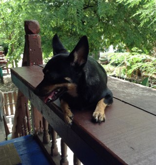 JKjokjo's profile picture. 