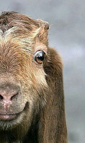 RayadaTime's profile picture. 