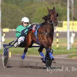 tor_yvind's profile picture. Trav, både som aktiv og i organisasjon. Noe politikk.Tidligere leder av Norsk Travamatørforening