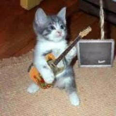 gfr_zepp's profile picture. 野球・サッカー・バスケットなど球技が好きでＭＢＡが終わり、９月から始まるアメリカンフットボールＮＦＬが首を長くしています。しかしサッカーのＷ杯を決めた試合はすごかったですね！コンフェは少し残念でした「相互フォローＯＫ！」です宜しくお願いします。