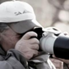 Wildlife Photographer, Author of