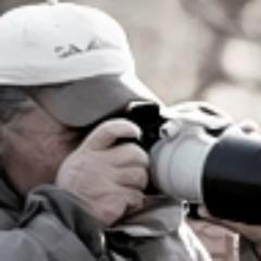 Wildlife Photographer, Author of 