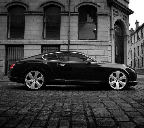 WildeboerJord's profile picture. 