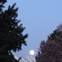 mathew kent - @mkw378 - Twitter