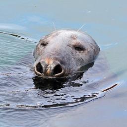 SazzaAyers_x's profile picture. 27 // Glasgae