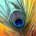 Pragya Tank (@tankpragya) Twitter profile photo Pragya Tank (@tankpragya) Twitter profile photo