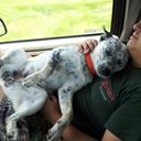 Eric painter - @ericpainter25 - Twitter