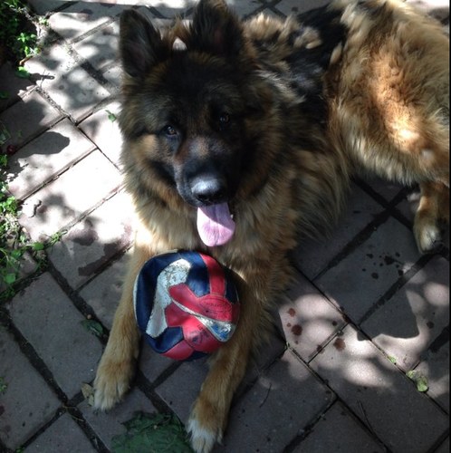 Blazer1234Step's profile picture. 