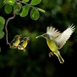 Ushapk's profile picture. 