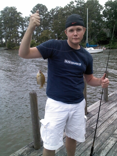 DavidMonts1's profile picture. Just a simple country boy