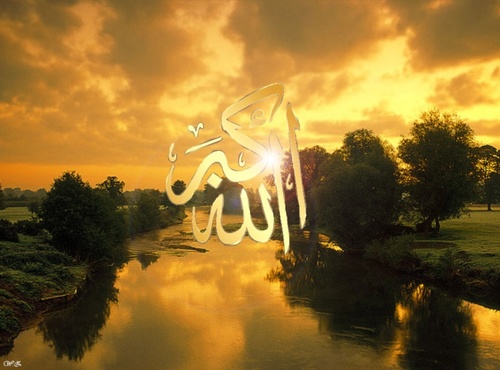 anas201_anas's profile picture. 