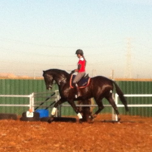 LawrieRach's profile picture. 