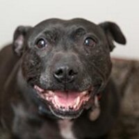 Maggie (@maggie_cms) 's Twitter Profile