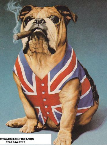NOSURRENDER_69's profile picture. Put the Great back into Britain!