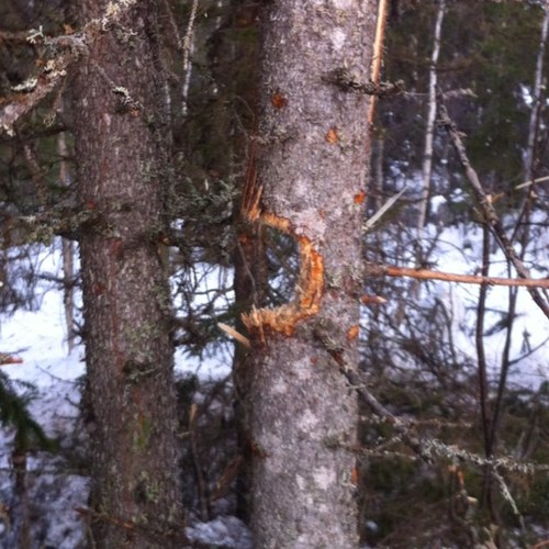 Försvarsmakten är min arbetsgivare, åsikterna är mina egna.
