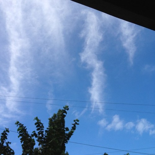 AsKadieva's profile picture. .