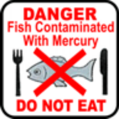 MercuryFreeMass's profile picture. 