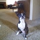 Becky Strong - @beckystrong1956 - Twitter