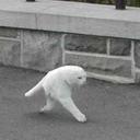 Rob Troy - @robtroy - Twitter