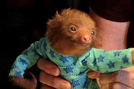 androgynanigans's profile picture. Be Excellent To Eachother