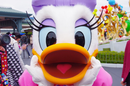 daisyui15's profile picture. 