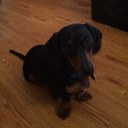 Penny Morrow - @MorrowPenny - Twitter