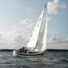 Dutch sailing team. NED8708 | Friendship 28 @RZVNaarden | wedstrijdzeilen | Y-Toren Race, Almere Regatta, Pampus Regatta, 24 uurs zeilrace