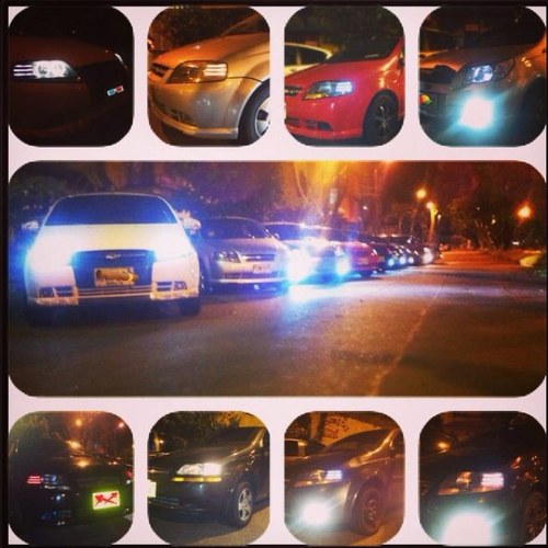 ClubAveoMdn's profile picture. 