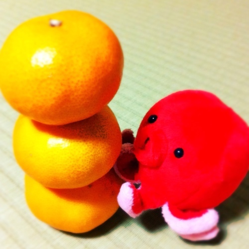 じょせこさんのプロフィール画像