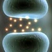 Peter Pallotta (@peterpallotta) 's Twitter Profile